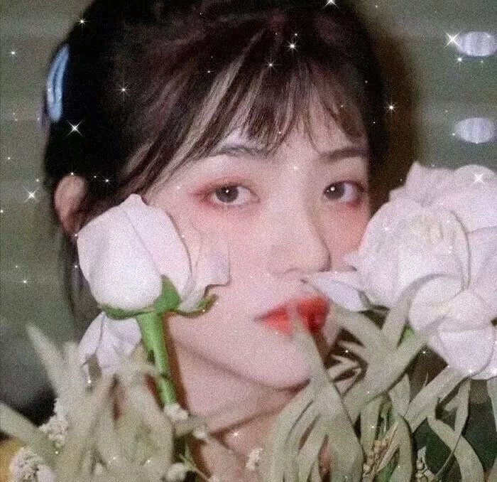 时间暂停的季节